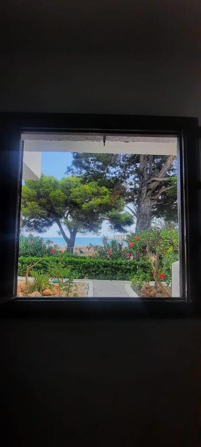 Apartamento Frente Al Mar Alcossebre Kültér fotó
